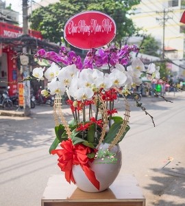 CHẬU HOA LAN HỒ ĐIỆP 12 NHÁNH HOA TRẮNG, TÍM ĐỐM HD046