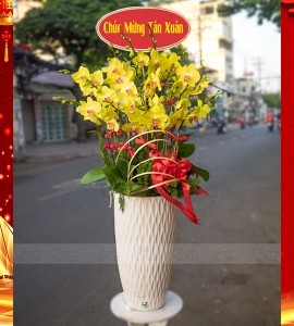Chậu Lan Hồ Điệp 20 Nhánh Vàng HD092