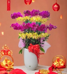 Chậu Lan Hồ Điệp 25 Cành HD151