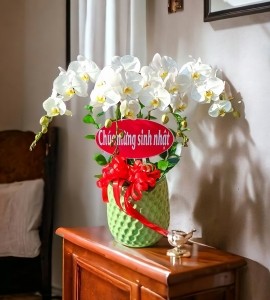 Chậu Lan Hồ Điệp 4 Cành Trắng HD154