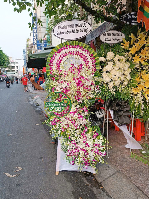 Giao Hoa CHuyên Nghiệp