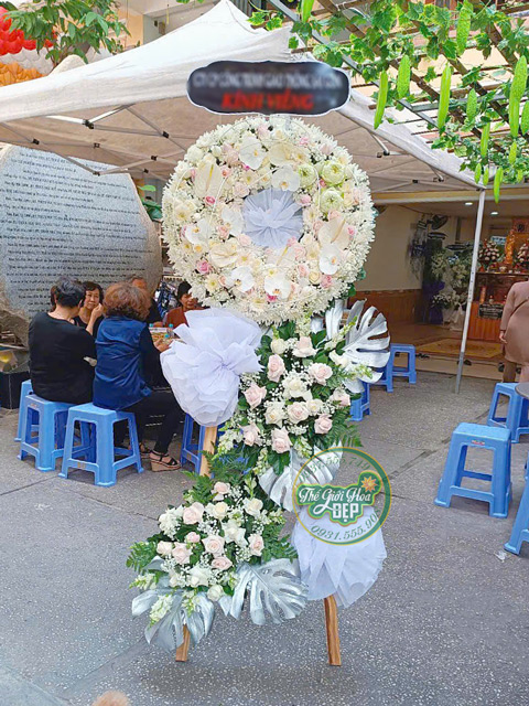 Giao Hoa CHuyên Nghiệp