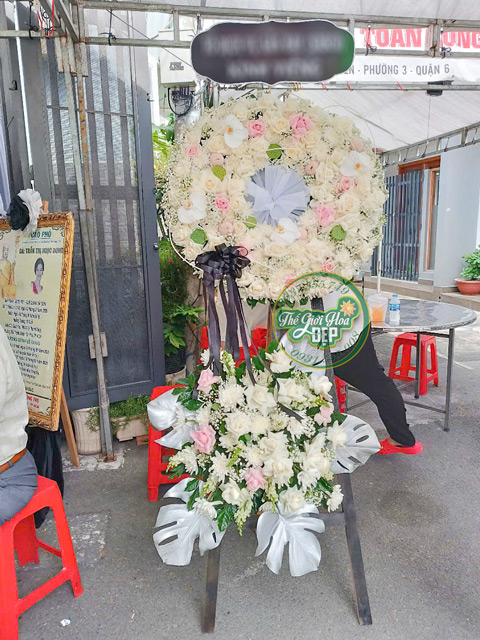 Giao Hoa CHuyên Nghiệp