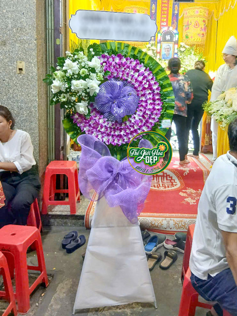 Giao Hoa CHuyên Nghiệp