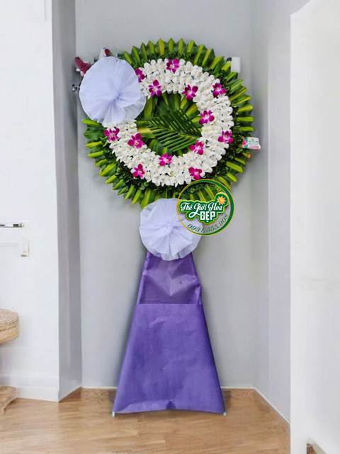 Giao Hoa CHuyên Nghiệp