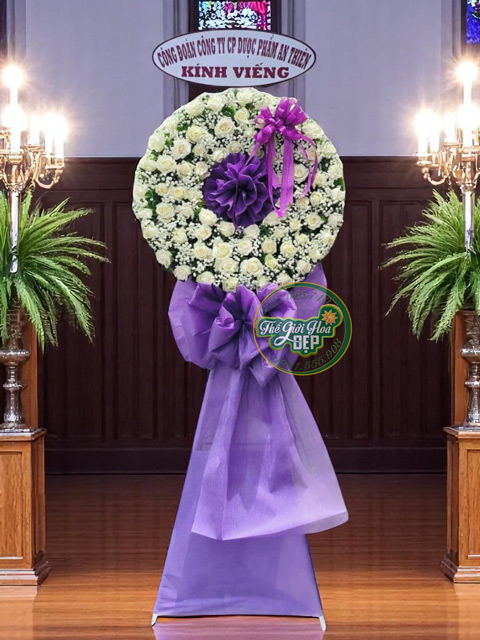 Giao Hoa CHuyên Nghiệp