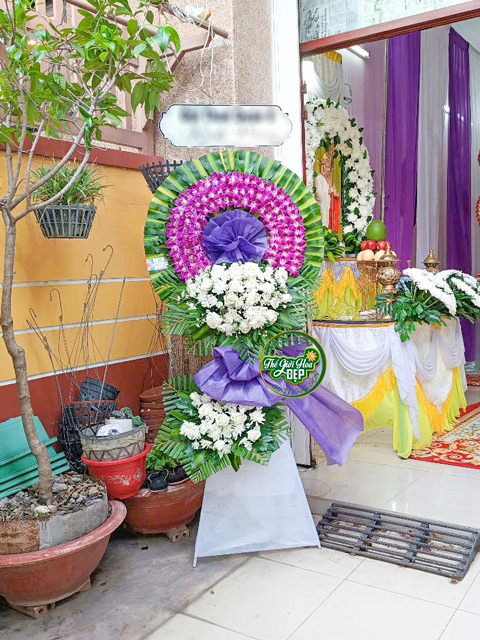 Giao Hoa CHuyên Nghiệp