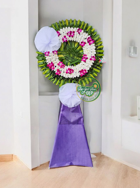 Giao Hoa CHuyên Nghiệp